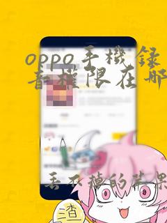 oppo手机录音权限在哪里打开