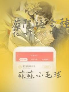 庭院适合种什么花卉