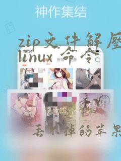 zip文件解压linux 命令