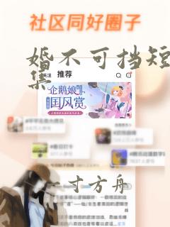 婚不可挡短剧全集