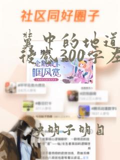 冀中的地道战读后感300字左右