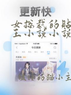 女总裁的贴身兵王小说小说