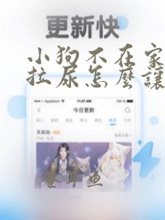 小狗不在家拉屎拉尿怎么让它拉尿