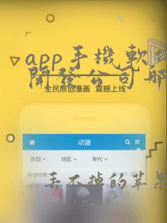 app手机软件开发公司哪家好