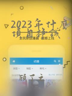 2023年什么项目挣钱