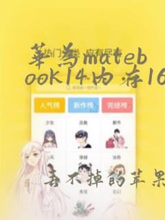 华为matebook14内存16g够用吗