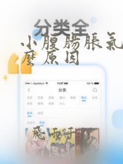 小腹肠胀气是什么原因