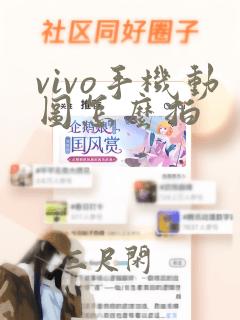 vivo手机动图怎么拍