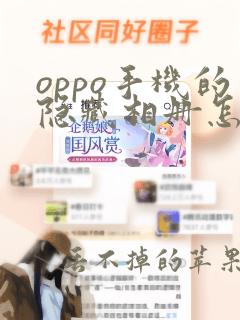 oppo手机的隐藏相册怎么看