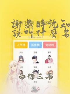 谢晏时沈知鸢小说叫什么名字