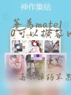 华为mate10可以扩容内存吗