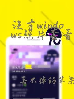 没有windows照片查看器