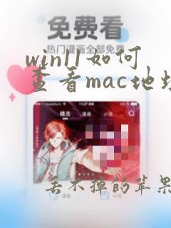 win11如何查看mac地址