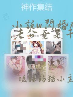 小说w闪婚成宠,老公竟是千亿大佬》