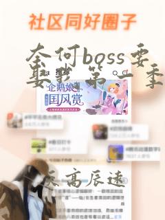 奈何boss要娶我第一季高清免费看