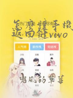 怎么让手机显示返回键vivo