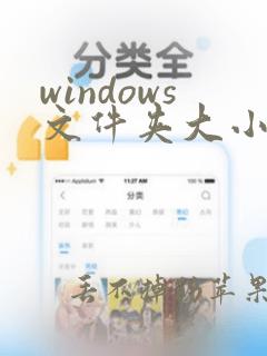 windows文件夹大小查看工具