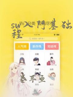 sw入门基础教程