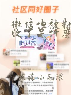 微信但被对方拒收了是什么情况