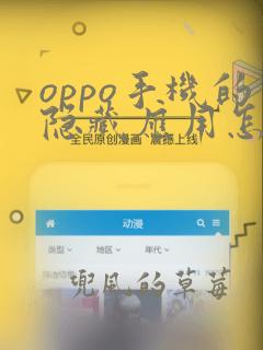 oppo手机的隐藏应用怎么打开