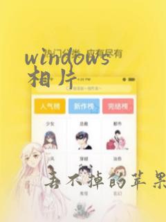 windows相片