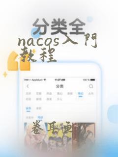 nacos入门教程