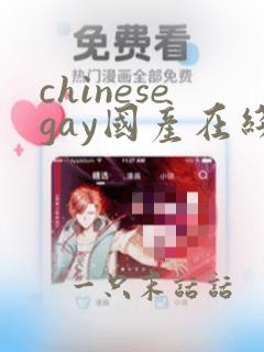 chinesegay国产在线播放