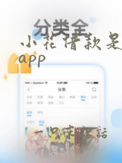 小花借款是哪个app