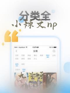 小辣文np