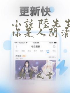 小说 陆先生,你是人间清欢处