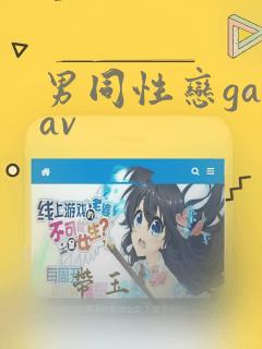 男同性恋gayav