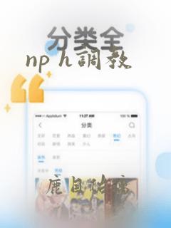 np h调教