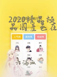 2020精品极品国产色在线,