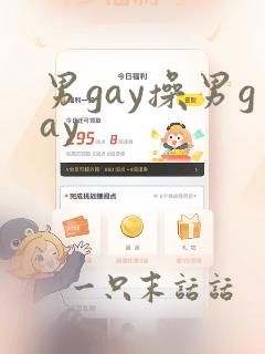 男gay操男gay