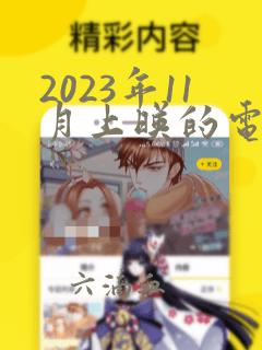 2023年11月上映的电影