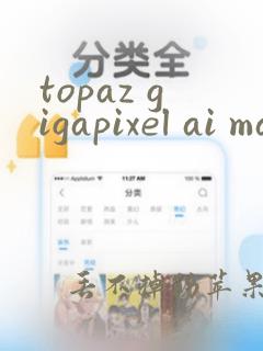 topaz gigapixel ai mac 破解