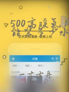 500高暖气片能装多少水