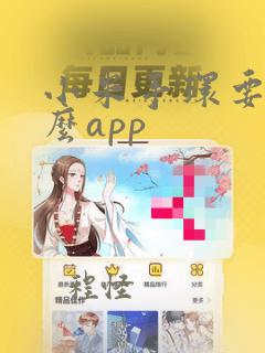 小米手环要用什么app