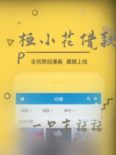 桓小花借款app