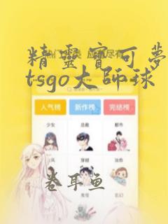 精灵宝可梦letsgo大师球