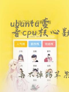 ubuntu查看cpu核心数