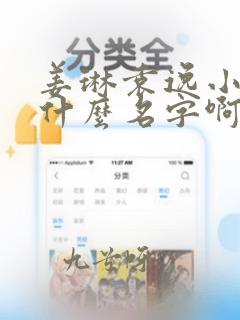 姜琳袁逸小说叫什么名字啊