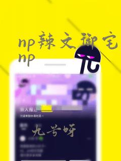 np辣文御宅屋np