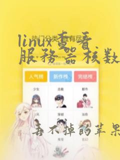 linux查看服务器核数