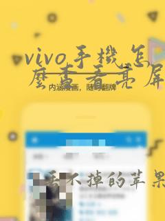 vivo手机怎么查看亮屏时间