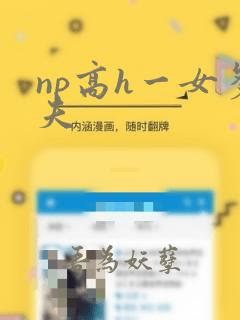 np高h一女多夫