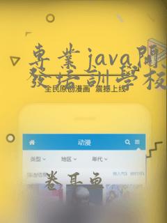 专业java开发培训学校