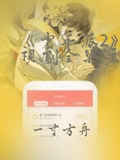 《少年派2》电视剧全集免费观看