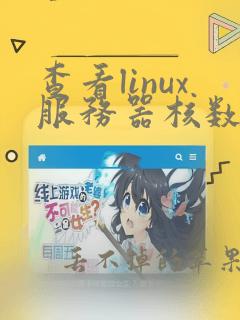 查看linux服务器核数