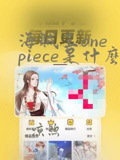 海贼王one piece是什么东西